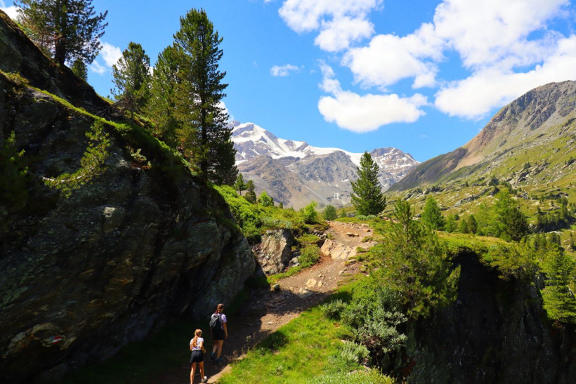 Wanderweg durch alpine Sommerlandschaft